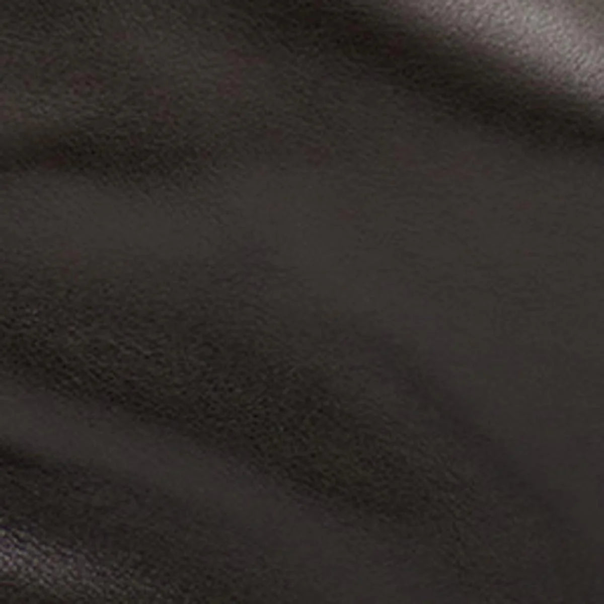 Leyden bag