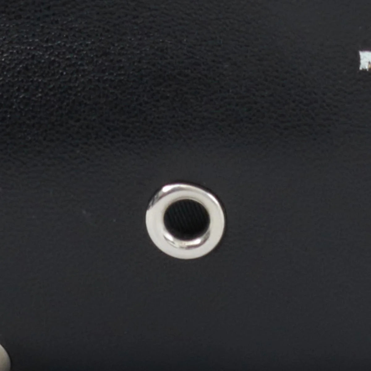 Leyden Bag